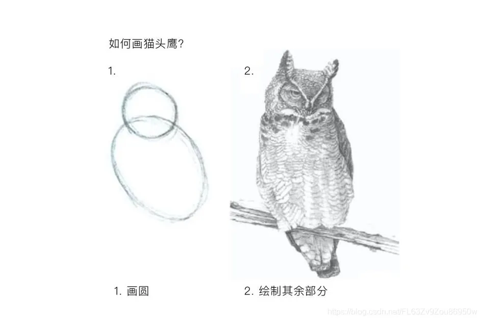 如何画猫头鹰