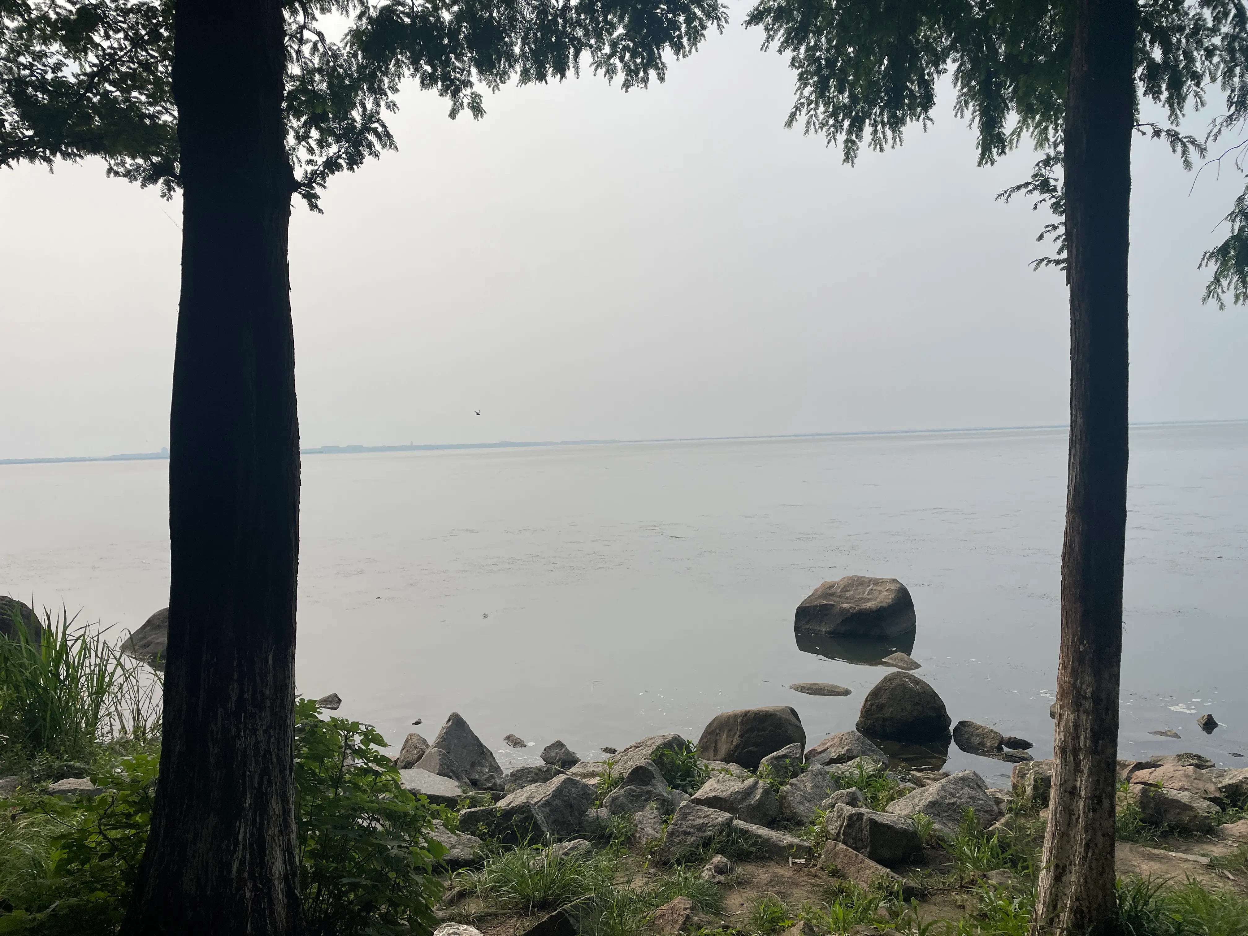 图 5: 阳澄湖边