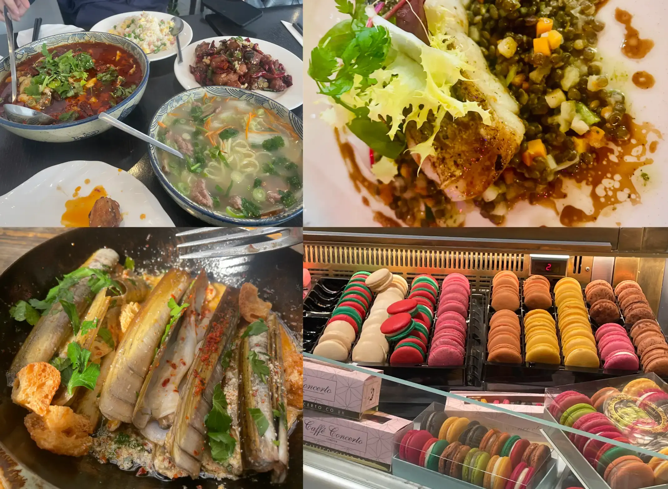 Chinese and Western Cuisine in Paris, including Macarons