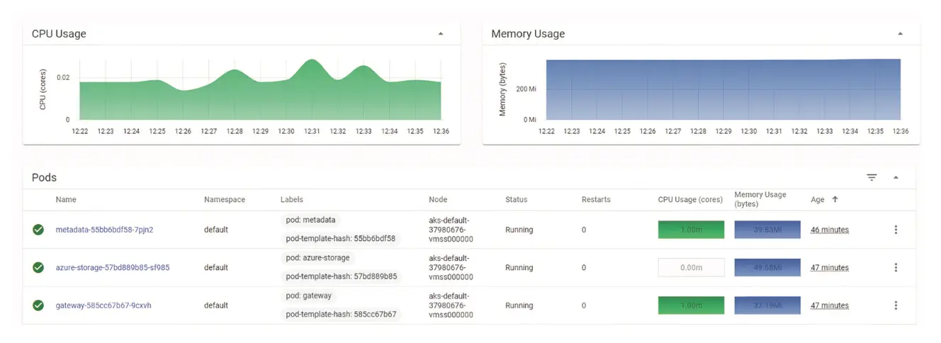 图 12.10 在 Kubernetes 仪表板中查看微服务的 CPU 和内存使用情况
