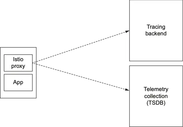 图 5: Istio 集成可观测性与安全