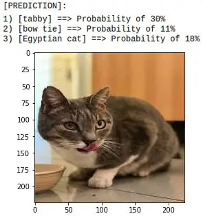 图 2: 图像分类示例:识别虎斑猫