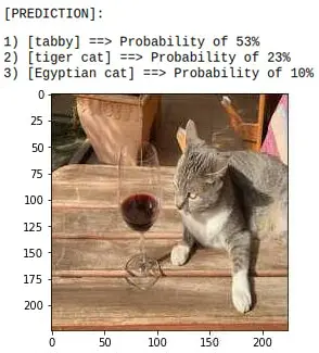 图 3: 图像分类示例:猫与酒杯