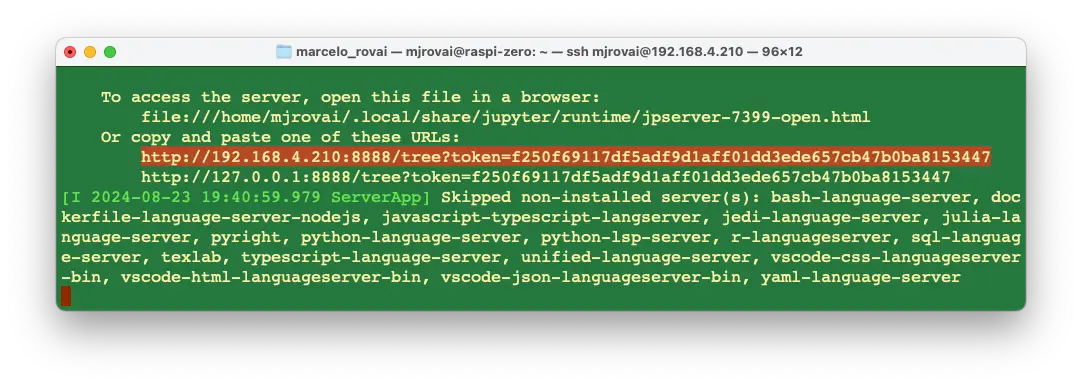 图 2: Jupyter Notebook 启动终端截图