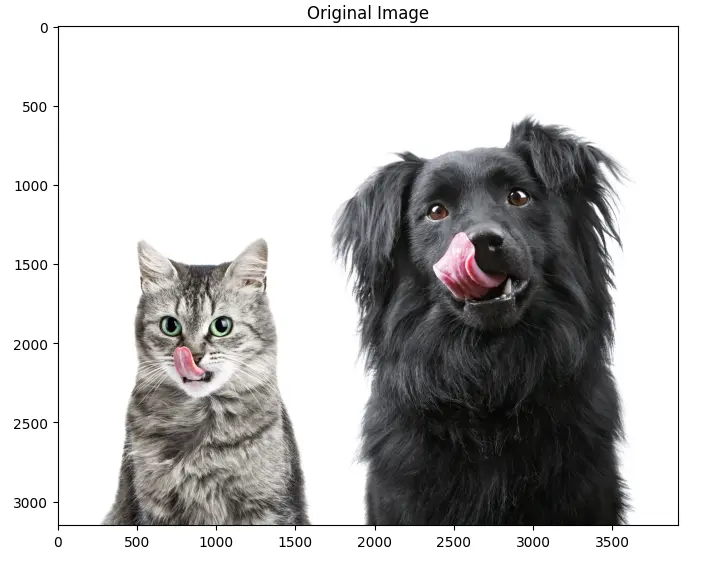 图 5: 猫狗图片
