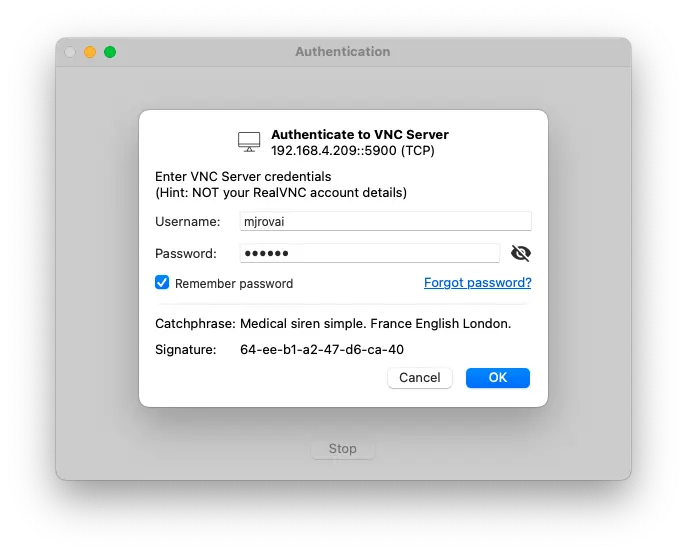 图 31: VNC 输入账号