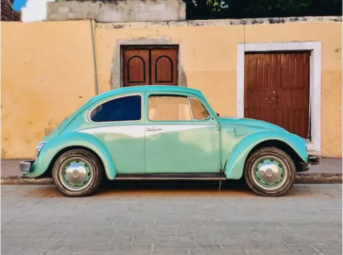 图 8: fusca.png:原始图片