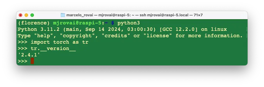 图 6: PyTorch 安装验证截图