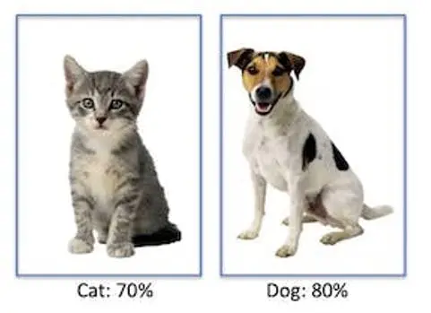 图 1: 猫狗图像分类示意