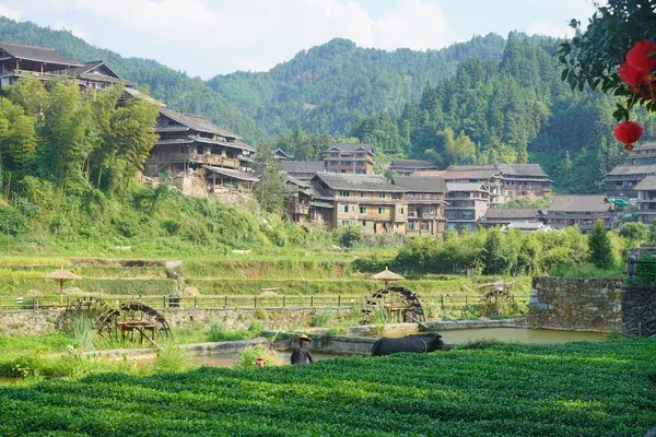 Liuzhou
